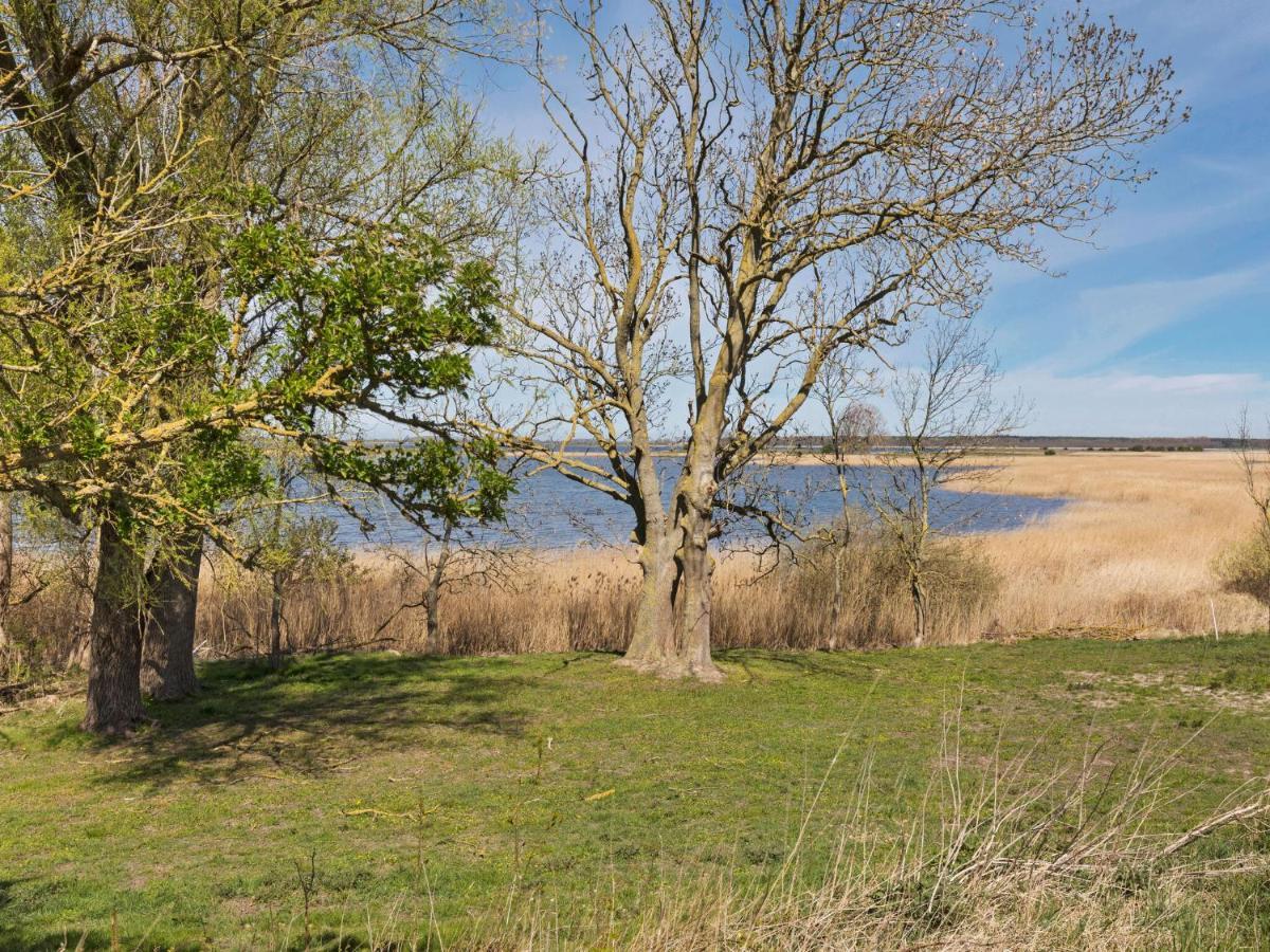 Elegant Apartment With Garden In Gingst Eksteriør bilde